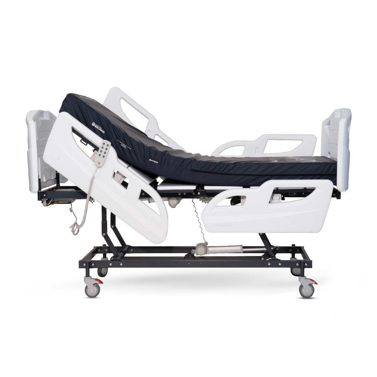 WhatsApp Image 2025-08-08 at 2.32.32 PM (1).jpeg